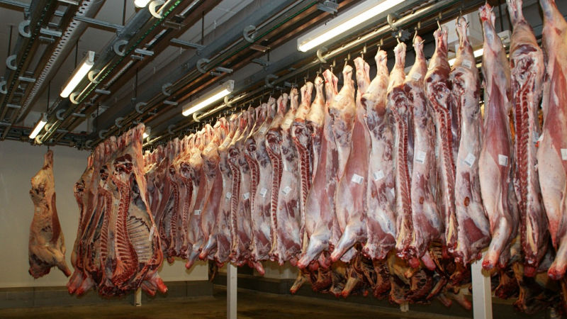 Привлечение зумеров на мясное производство с помощью экопроекта